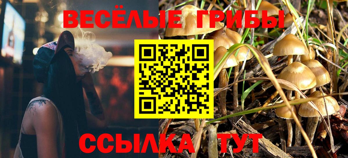 Псилоцибиновые грибы Cubensis Кисловодск