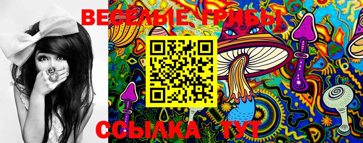 Псилоцибиновые грибы Magic Shrooms  Галлюциногенные грибы прущие грибы  Кисловодск  Вход с VPN 