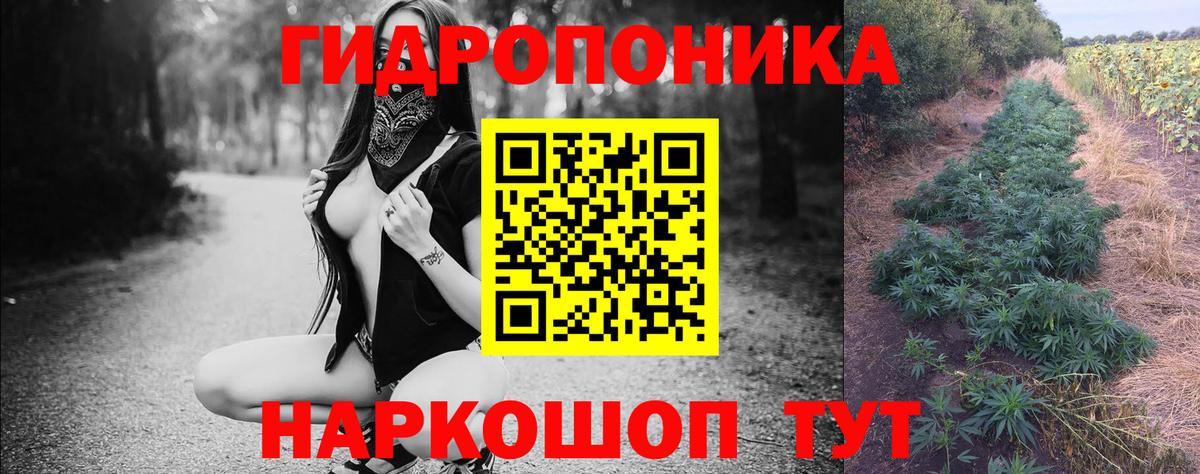 Каннабис MAZAR Кисловодск